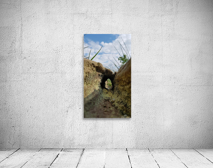 towards the unknown Wall Preview