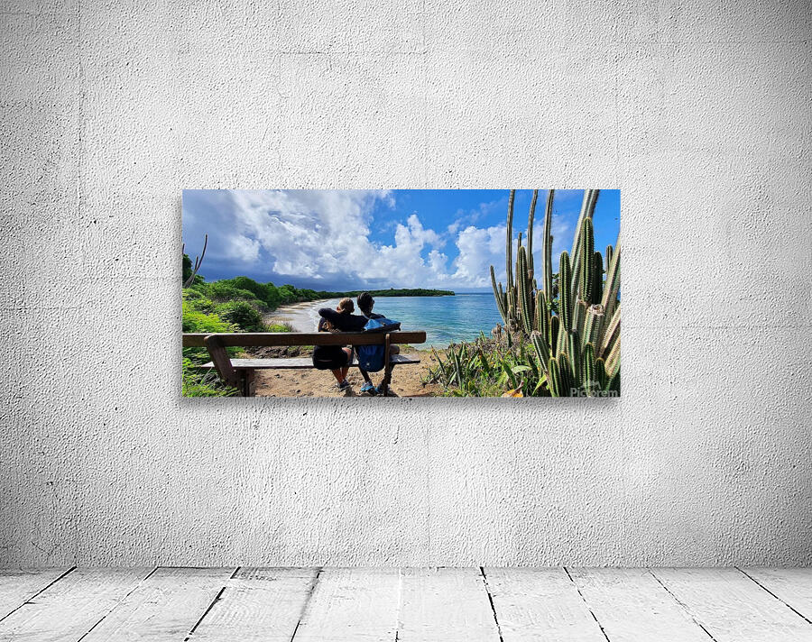 enjoy the view Wall Preview