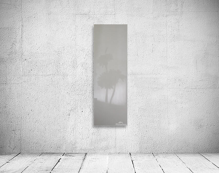 evocation Wall Preview