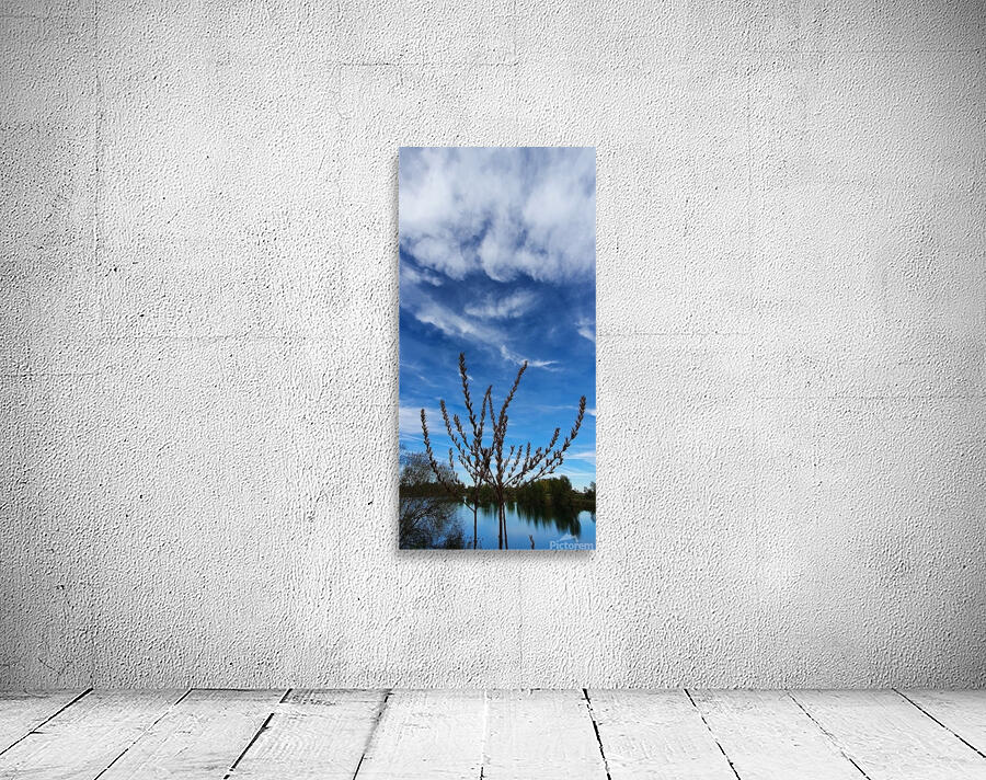 cobs in the clouds Wall Preview
