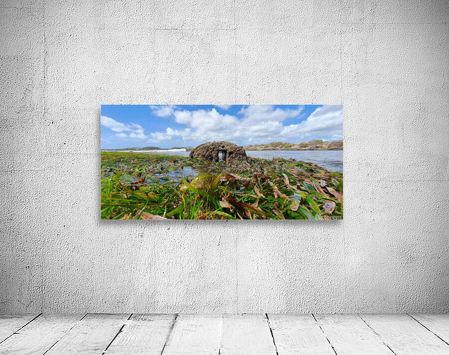 low tide Wall Preview