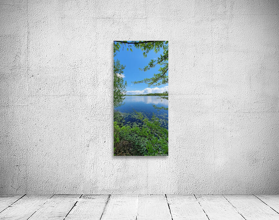 summer day Wall Preview