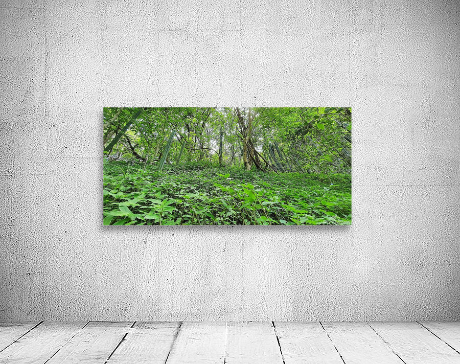 natural carpet Wall Preview