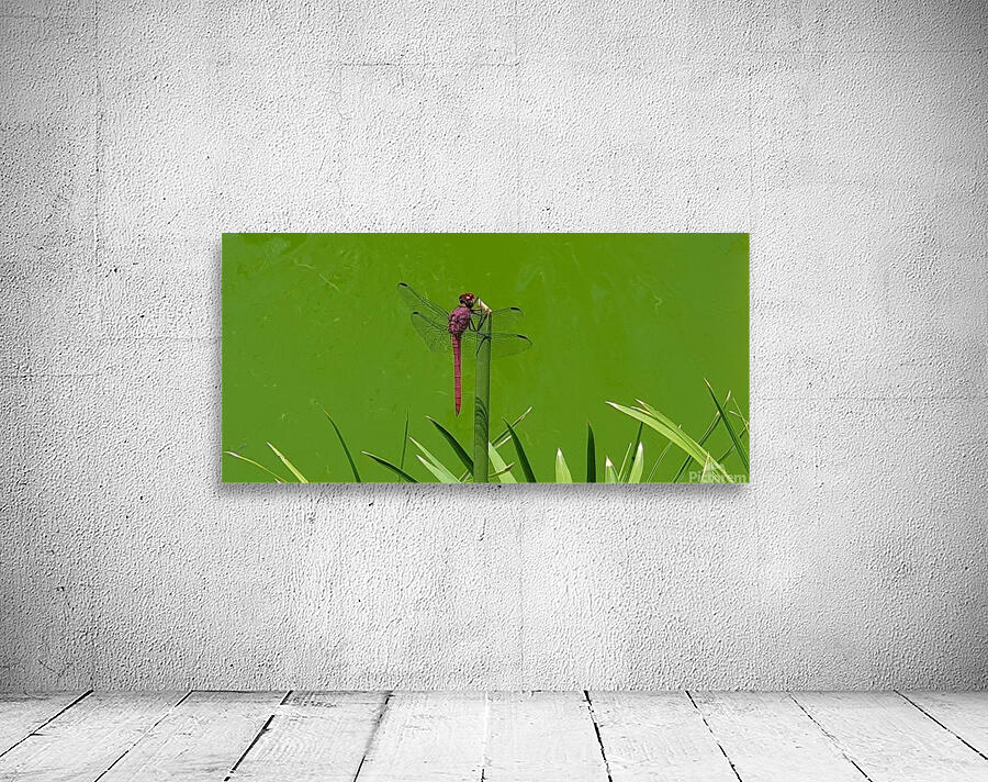 vertically Wall Preview