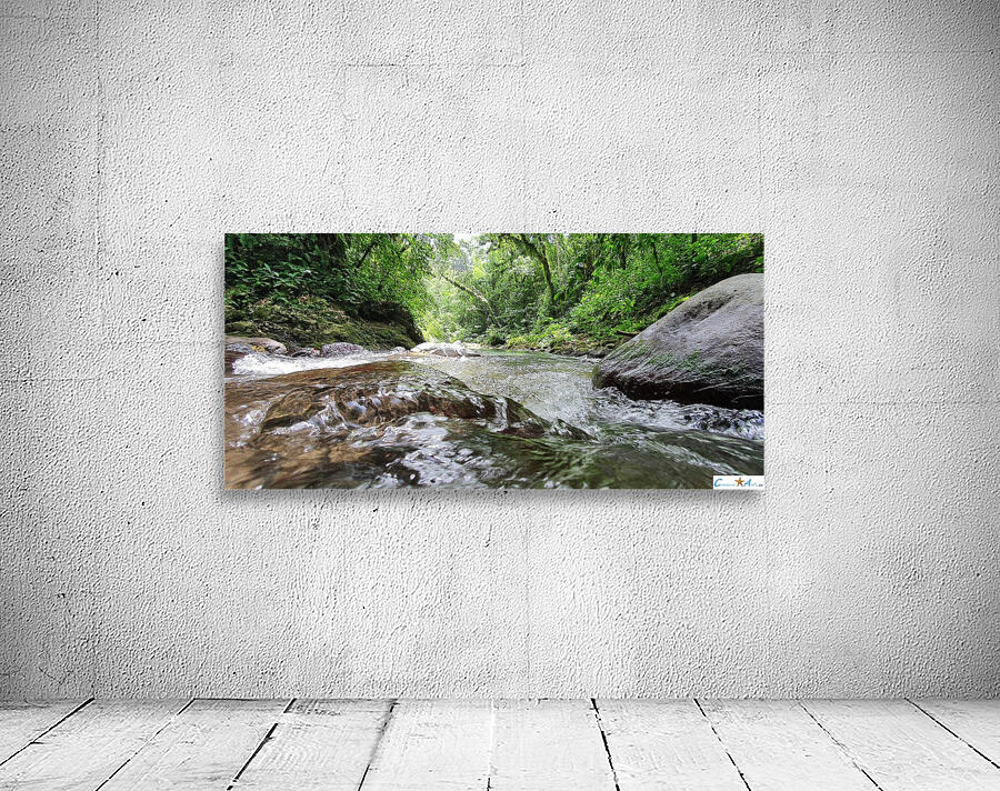 go down the river Wall Preview