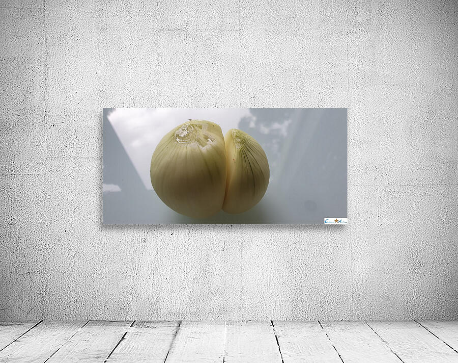 entwined Wall Preview