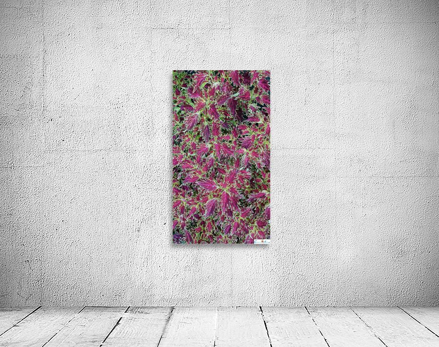 natural colored patchwort Wall Preview