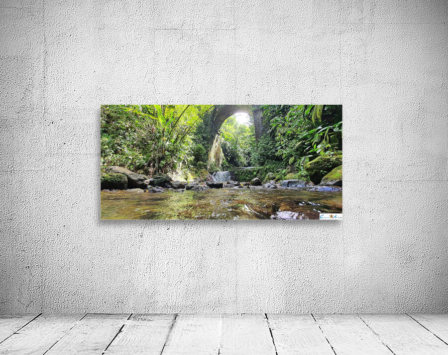 under the bridge Wall Preview