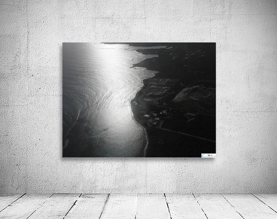 fly at dusk Wall Preview