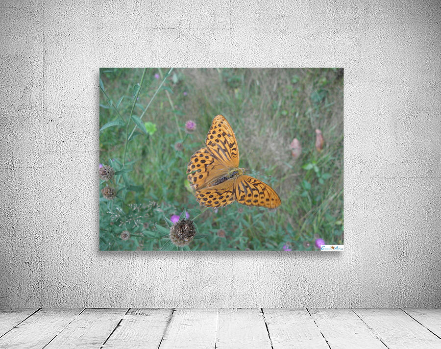 I fly Wall Preview