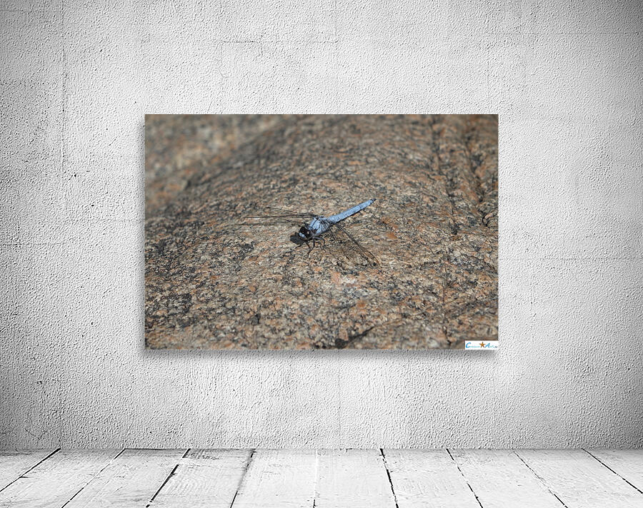 just before my takeoff Wall Preview