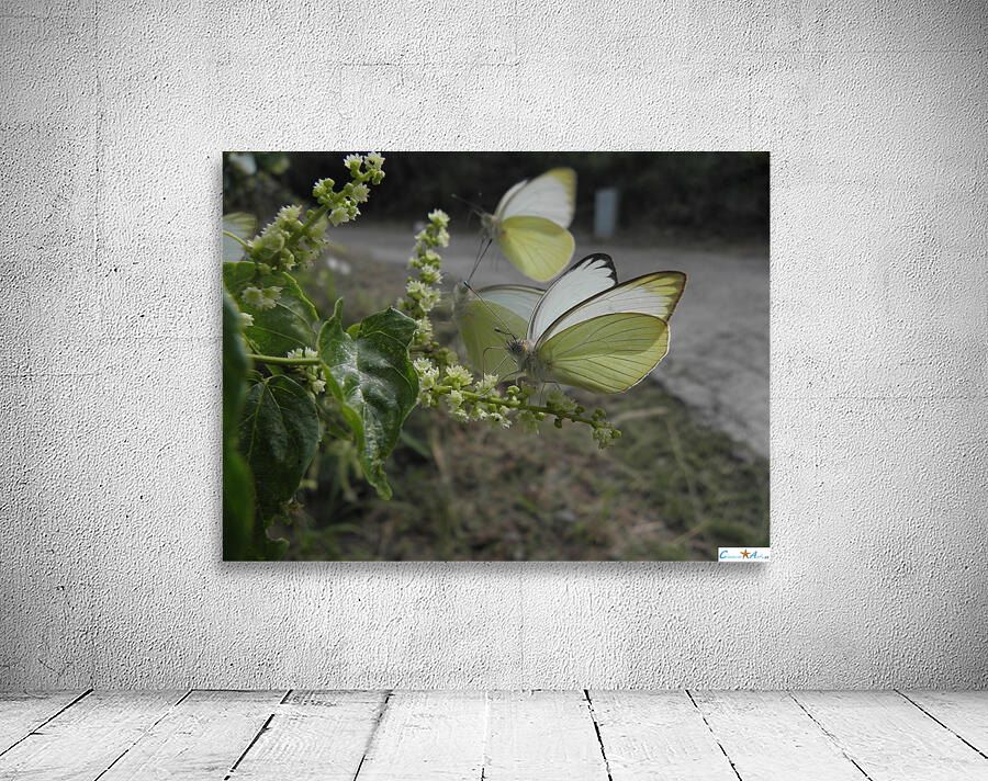 it s nectar time Wall Preview