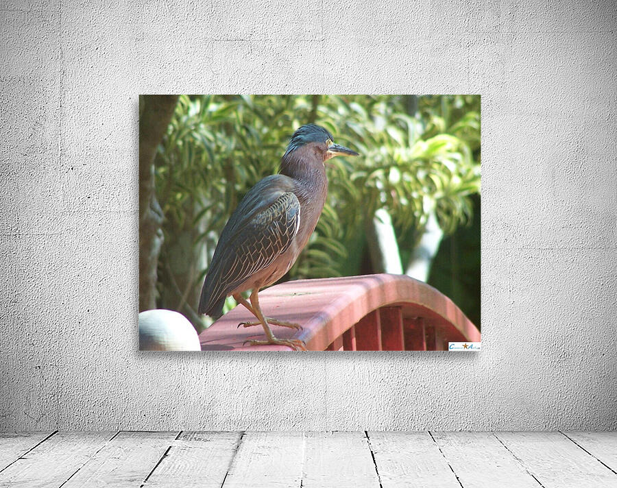the heron and the bridge Wall Preview