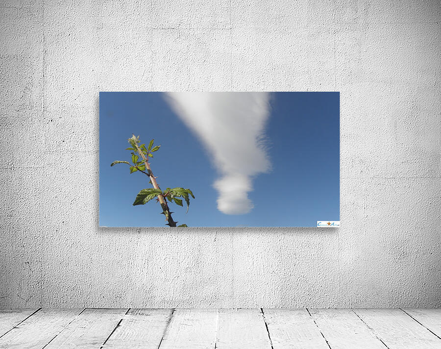 the bramble and the cloud Wall Preview