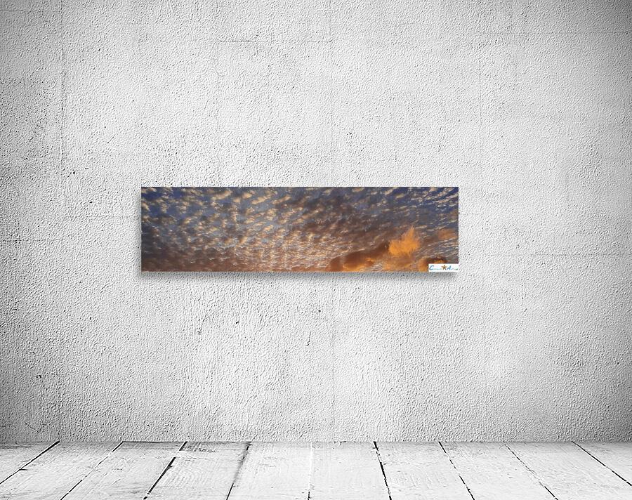 cottony Wall Preview