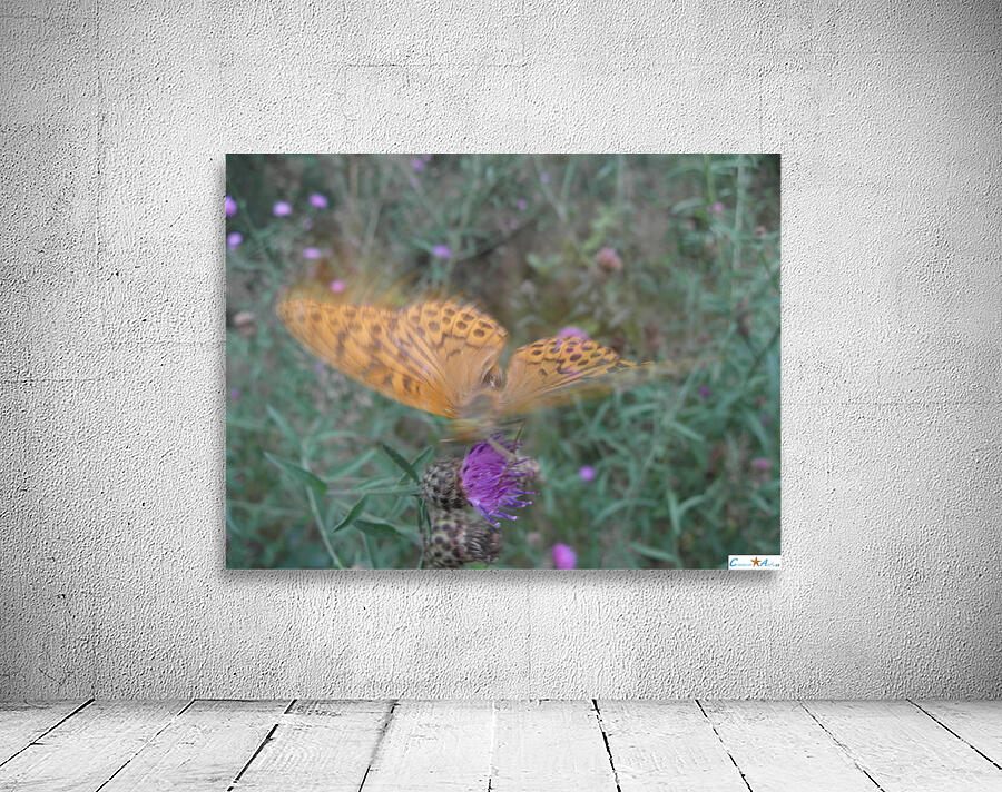 butterfly dream Wall Preview