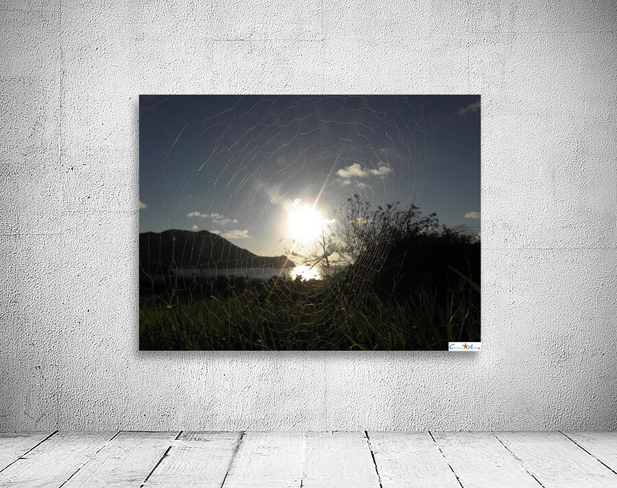 capture the sun Wall Preview
