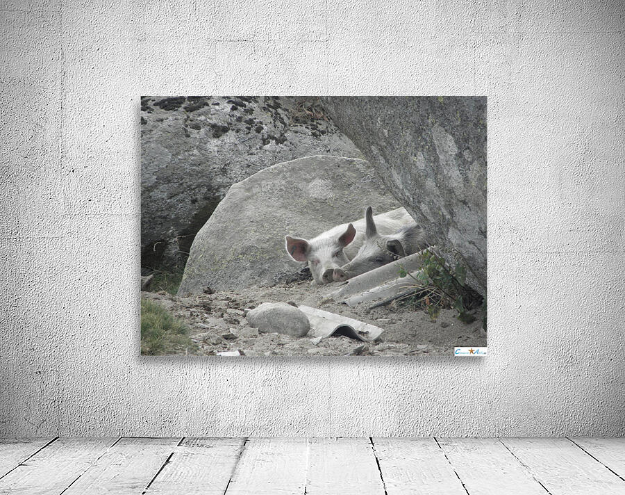 as a couple Wall Preview