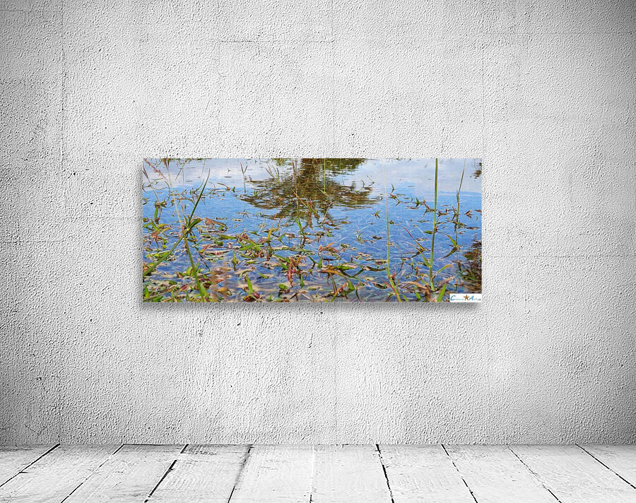 head upside down Wall Preview