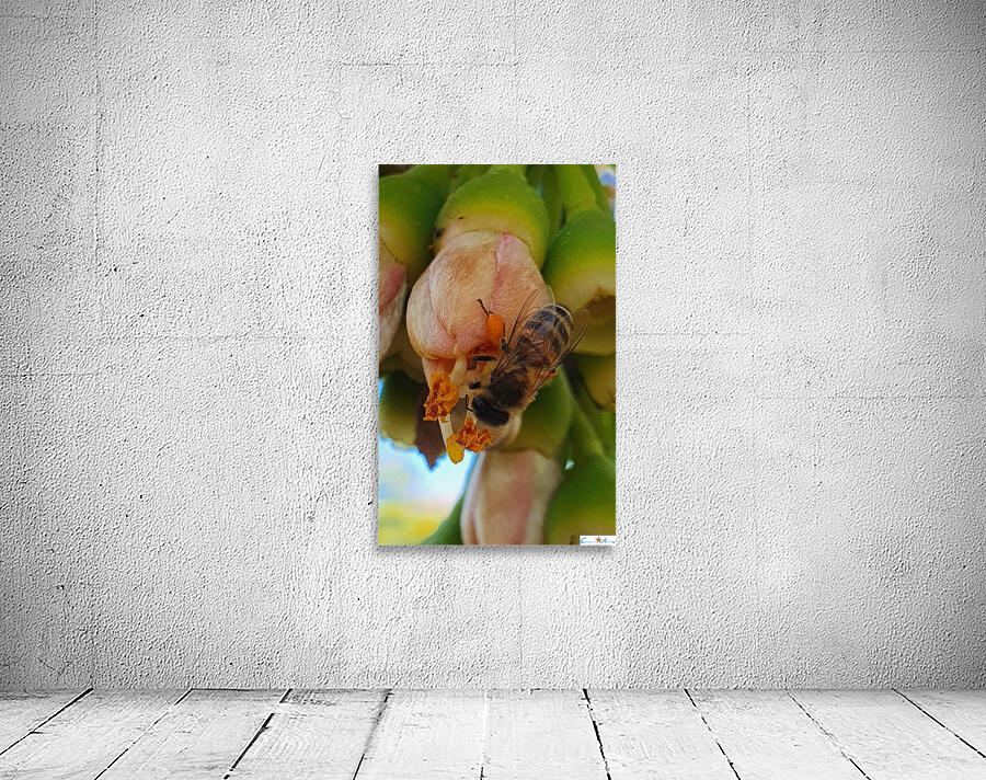 I pollinate Wall Preview