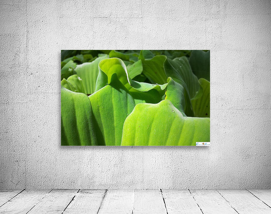 silky Wall Preview