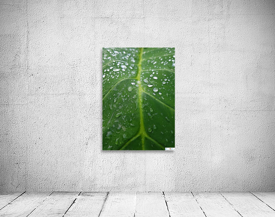 in the rain Wall Preview