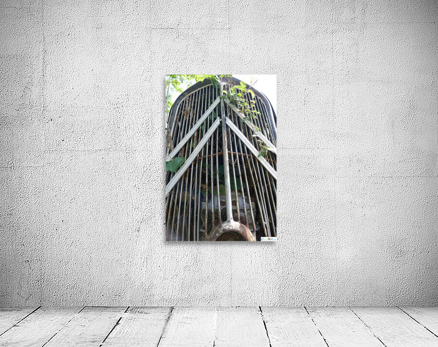 abandoned Wall Preview