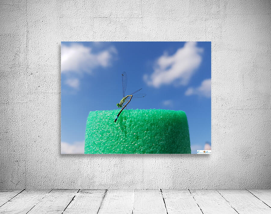 the dragonfly dance Wall Preview