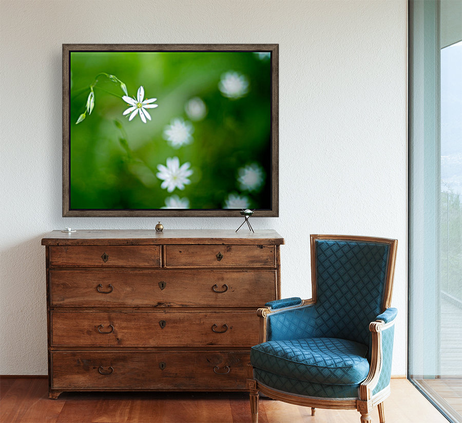 White flower Reproduction