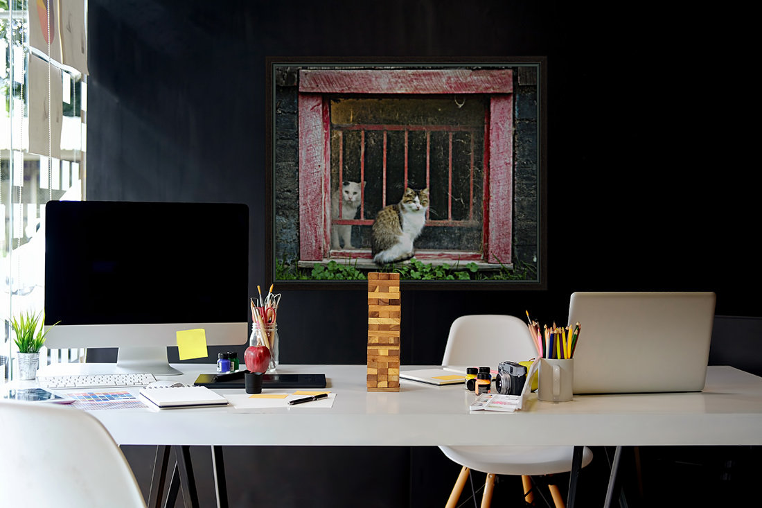 Cat at the window Reproduction
