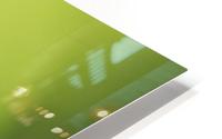 Green leaf HD Metal print