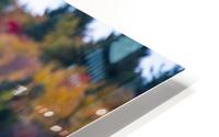 Autumn colours HD Metal print