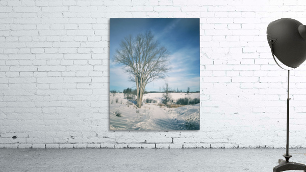 Tree Wall Preview