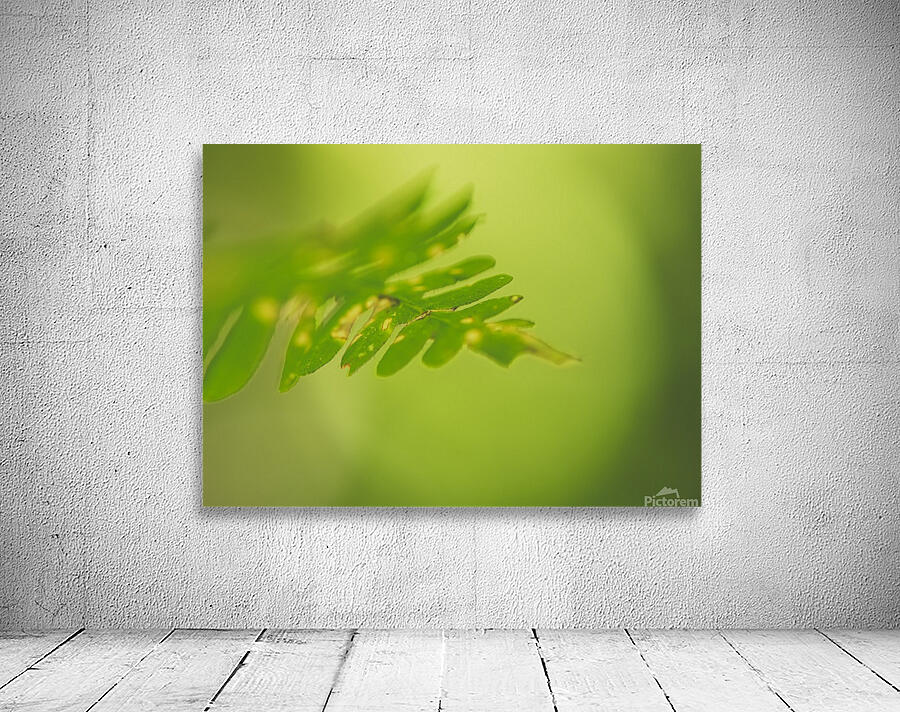 Green leaf Wall Preview