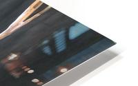 GermiGold2 HD Metal print