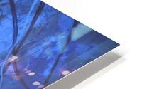 Hero3 HD Metal print