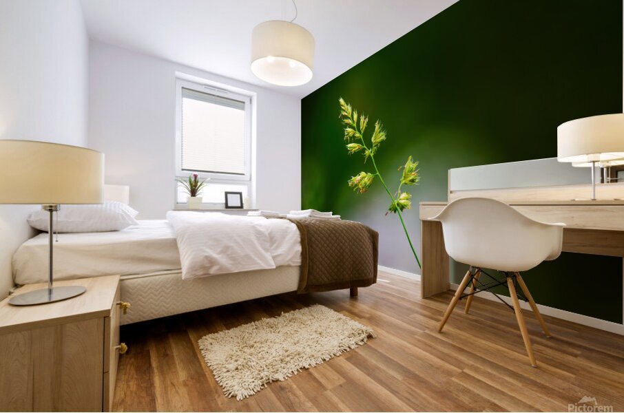 Meadow Grass Study  Mural print