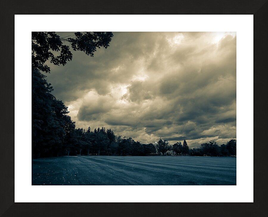 College Grounds Picture Frame print