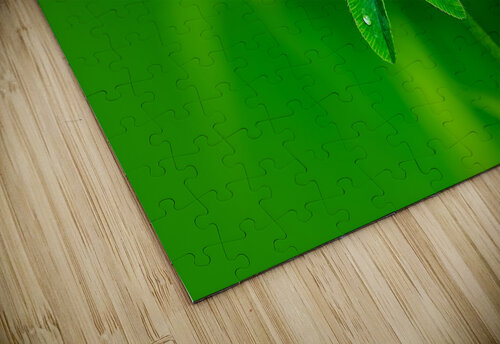Sweet Clover Barry Octeau puzzle