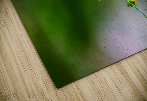 Meadow Grass Study  Barry Octeau puzzle