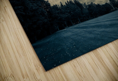 College Grounds Barry Octeau puzzle