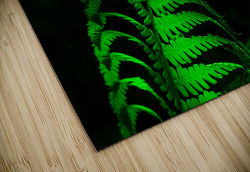 Fiddle Head Fern Barry Octeau puzzle