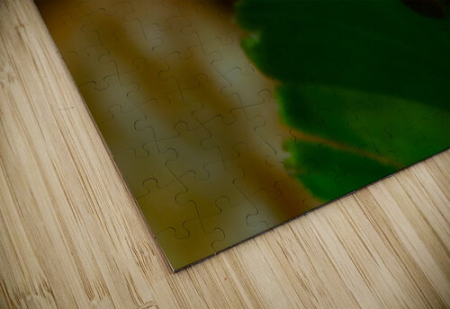 Spring Beauty Barry Octeau puzzle