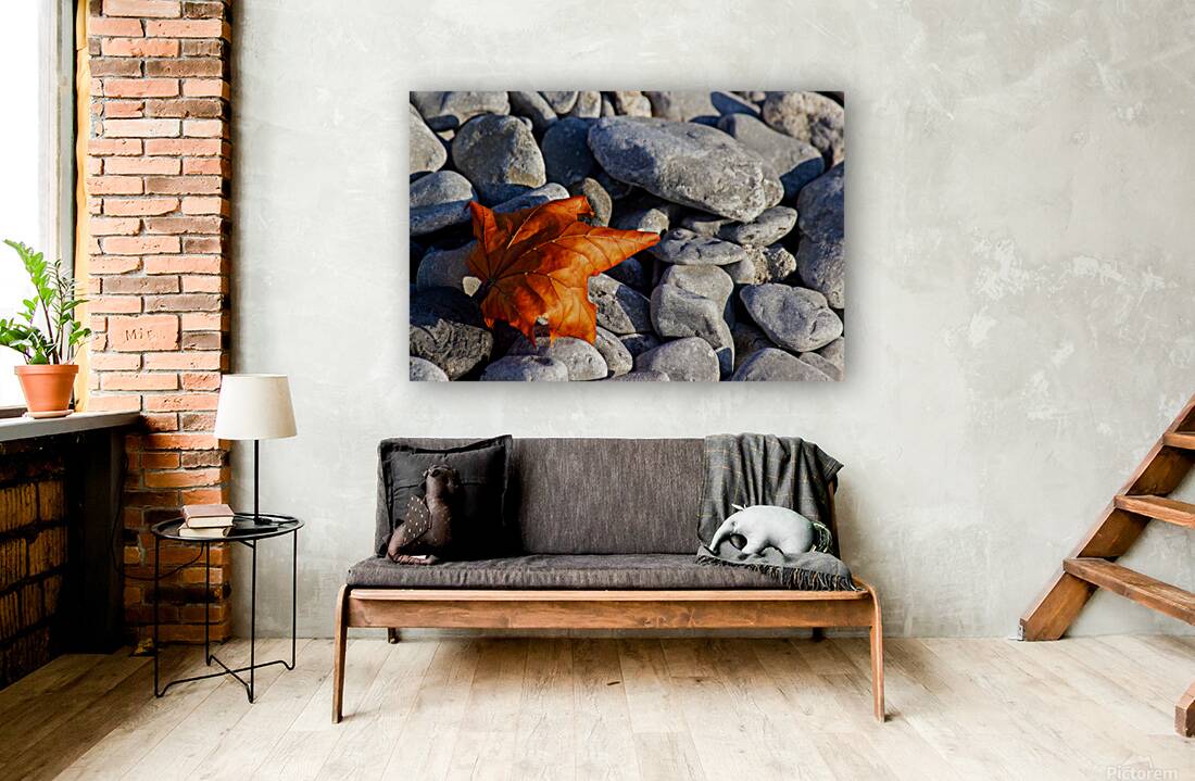 Maple Leaf on Stone Beach Reproduction