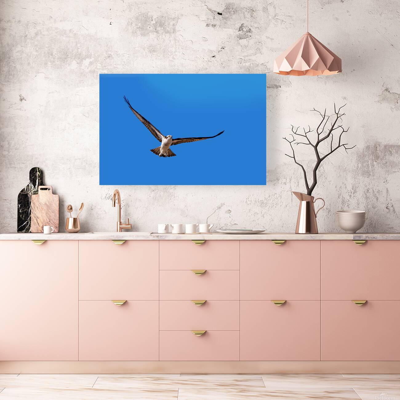 Osprey in Flight Reproduction