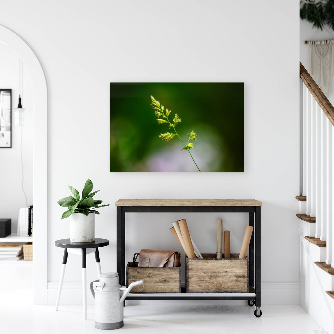 Meadow Grass Study  Reproduction