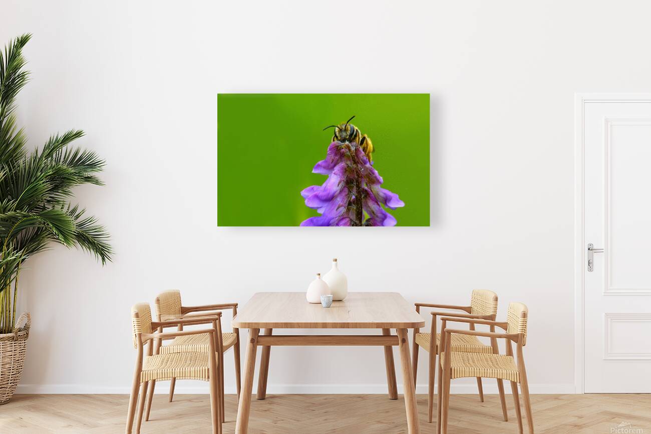 Pollinator Series - Image 2 Reproduction
