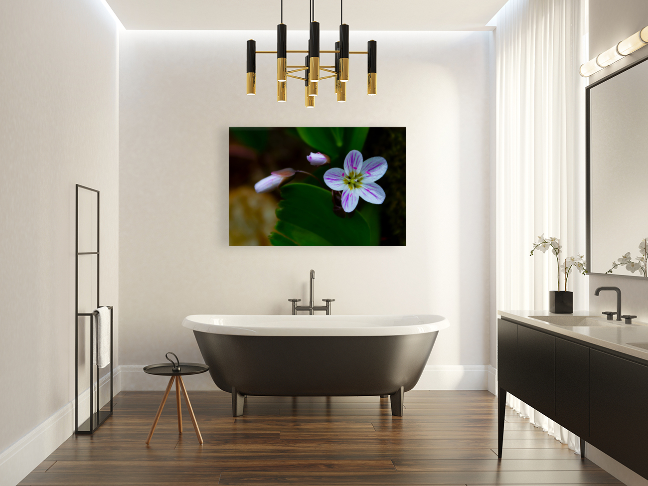 Spring Beauty Reproduction