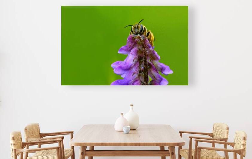 Pollinator Series - Image 2 by Barry Octeau
