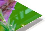 Pollinator Series - Image 1 HD Metal print